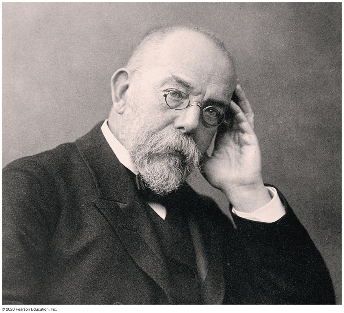Robert Koch