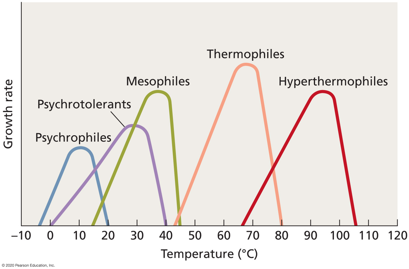5 temperatire catagpories