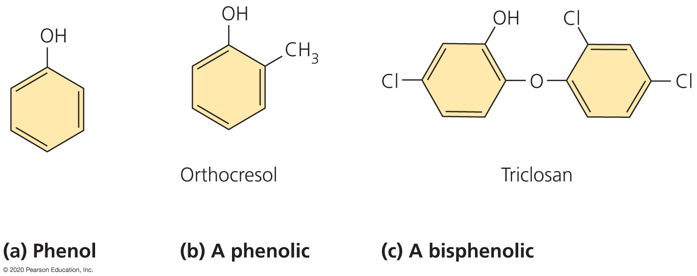 Phenol and Phenolics