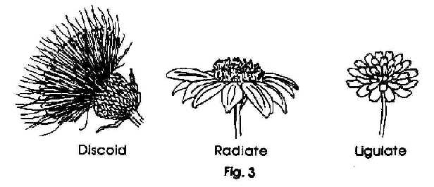 Figure 3 - composites